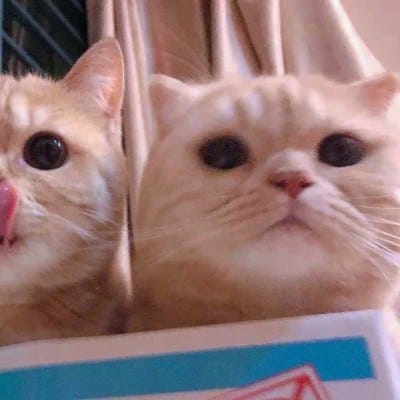 Bea Alonzo's avatar